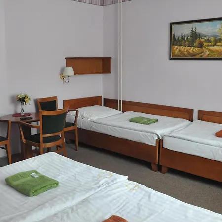 Zuzana Guest house Stare Splavy